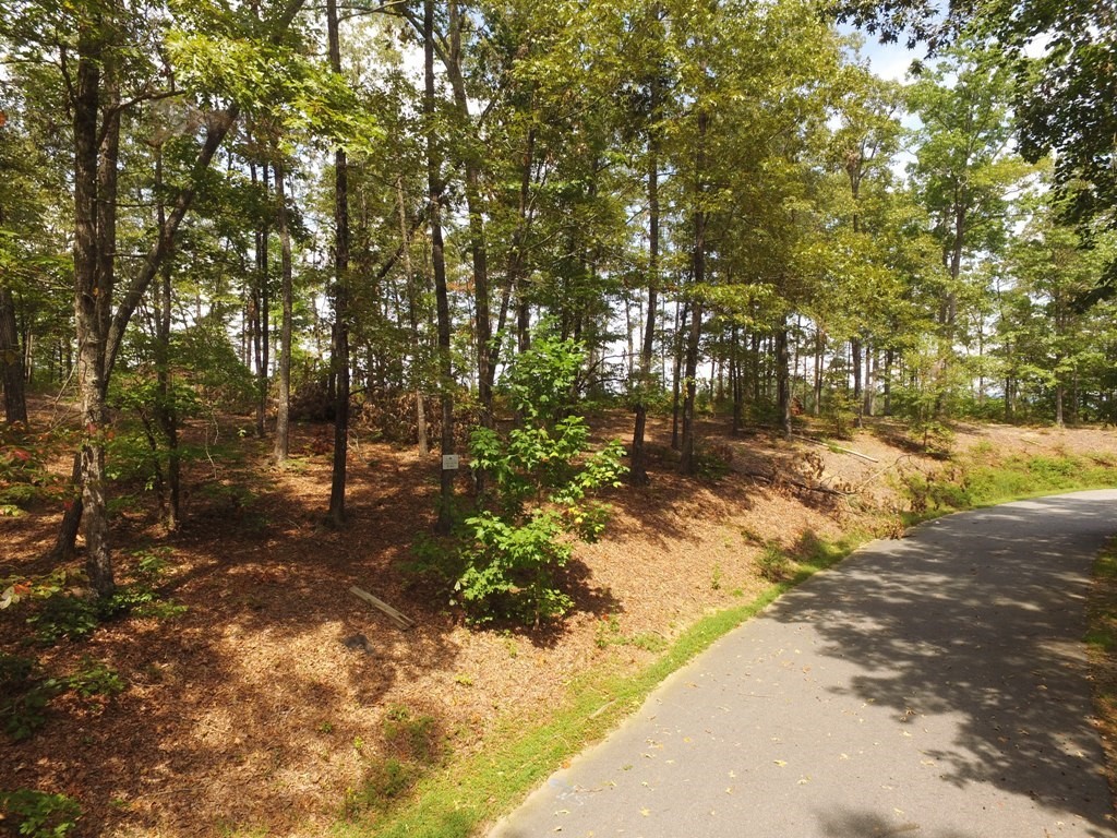 Lot S42 Sunset Rdg Way Salem, SC 29676 - Photo 7 of 34 Gallery Image 7