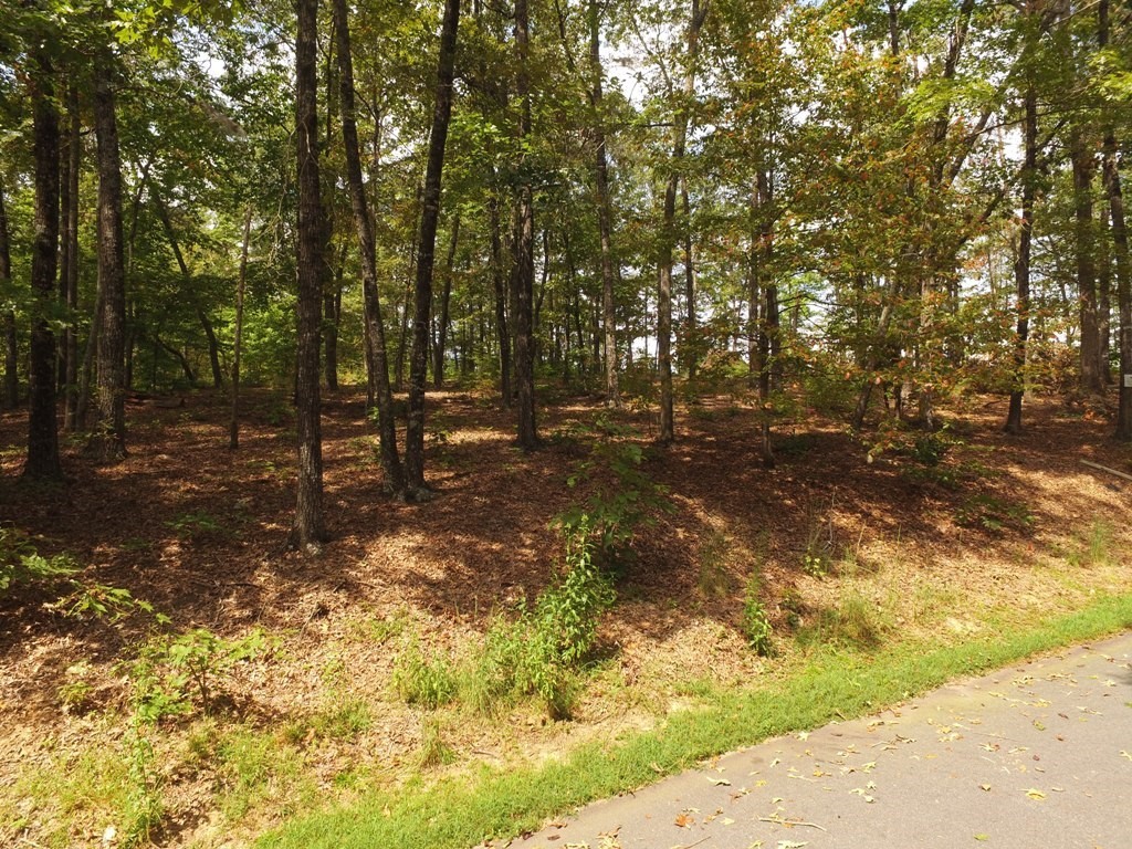 Lot S42 Sunset Rdg Way Salem, SC 29676 - Photo 8 of 34 Gallery Image 8
