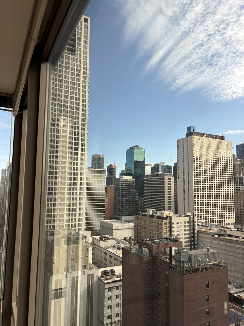 2 East Erie Street, Unit 2204 Chicago, IL 60611 - Photo 18 of 25