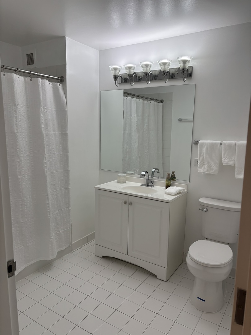 2 East Erie Street, Unit 2204 Chicago, IL 60611 - Photo 8 of 25 a bathroom with a sink a toilet and shower