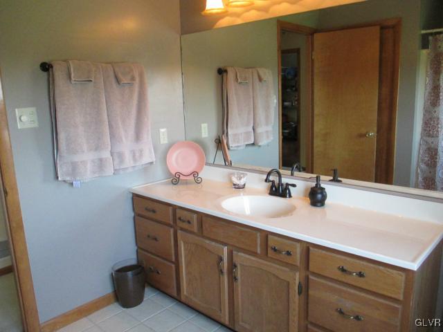 343 Forest Road Nazareth, PA 18064 - Photo 24 of 32 a bathroom with a sink and a mirror
