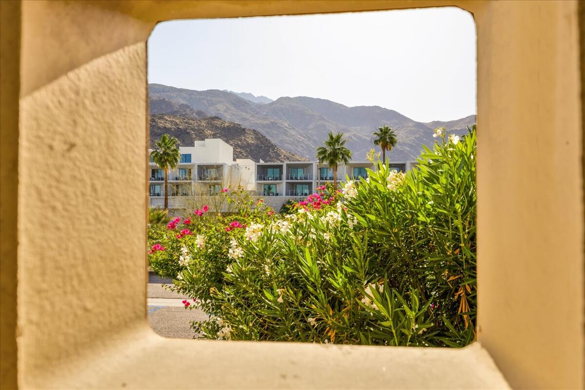 277 East Alejo Road, Unit 101 Palm Springs, CA 92262 - Photo 33 of 42 Patio