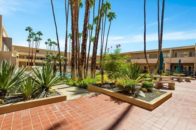 a view of a potted plants with big yard