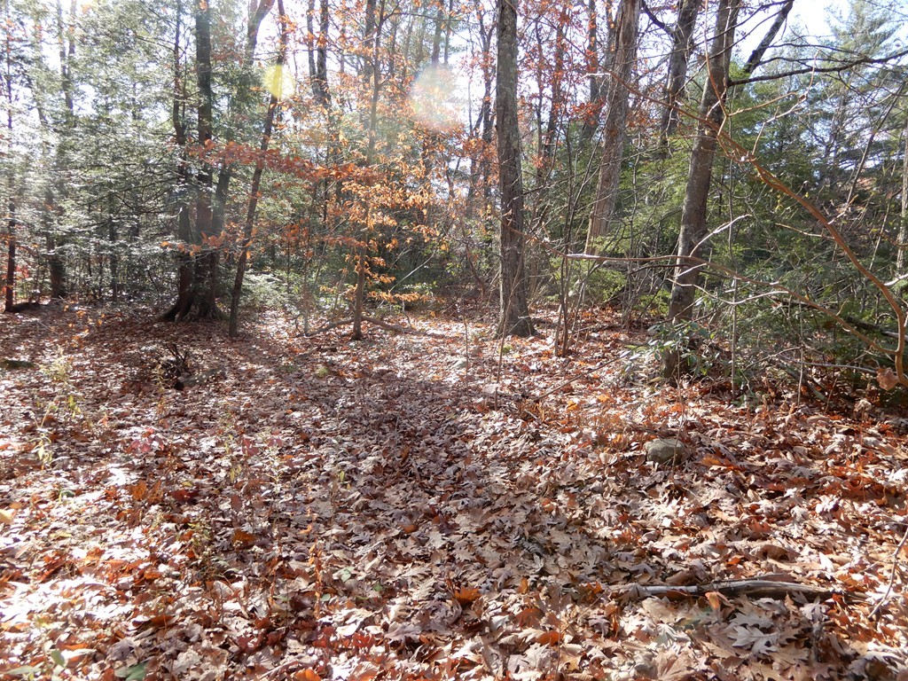 34 Crooked Ledge Road Southampton, MA 01073 - Photo 9 of 11 Gallery Image 9
