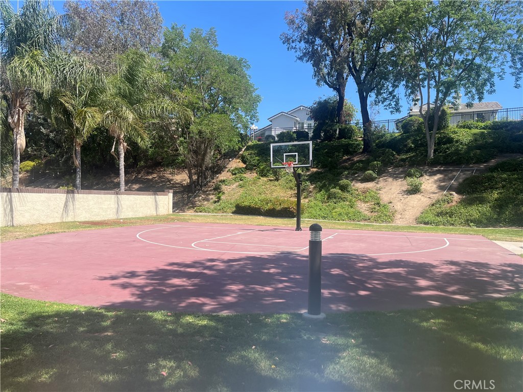 31420 Corte Madera Temecula, CA 92592 - Photo 54 of 54 a view of a yard with palm tree