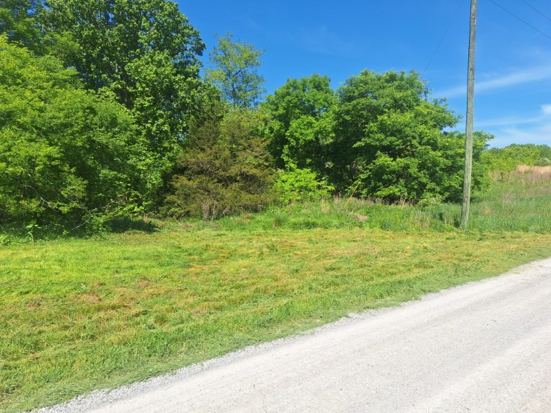 0 Lake Bluff Baxter, TN 38544 - Photo 19 of 23 a view of a garden