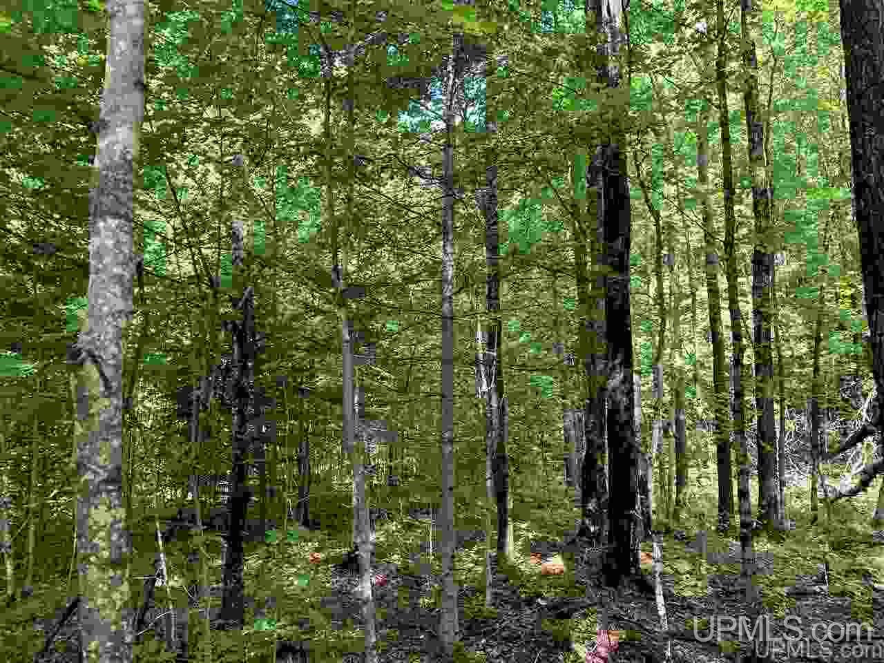 88-89 Blue Road Pelkie, MI 49958 - Photo 5 of 15
