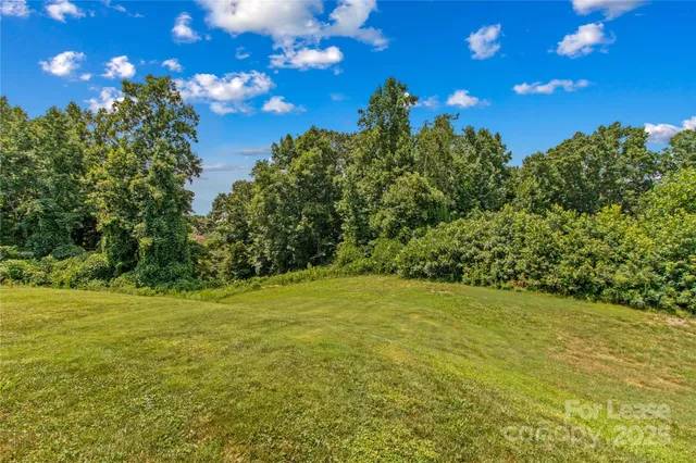 a view of a green field with lots of bushes