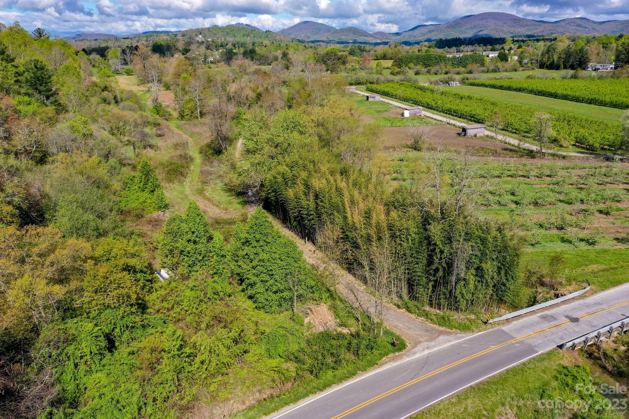 0 Pilot Mountain Road Hendersonville, NC 28792 - Photo 2 of 15 Gallery Image 2