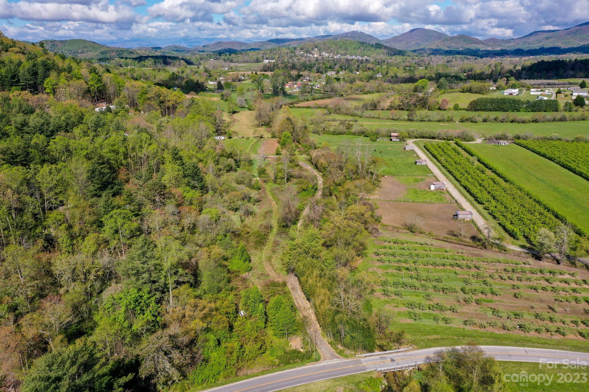 0 Pilot Mountain Road Hendersonville, NC 28792 - Photo 3 of 15 Gallery Image 3