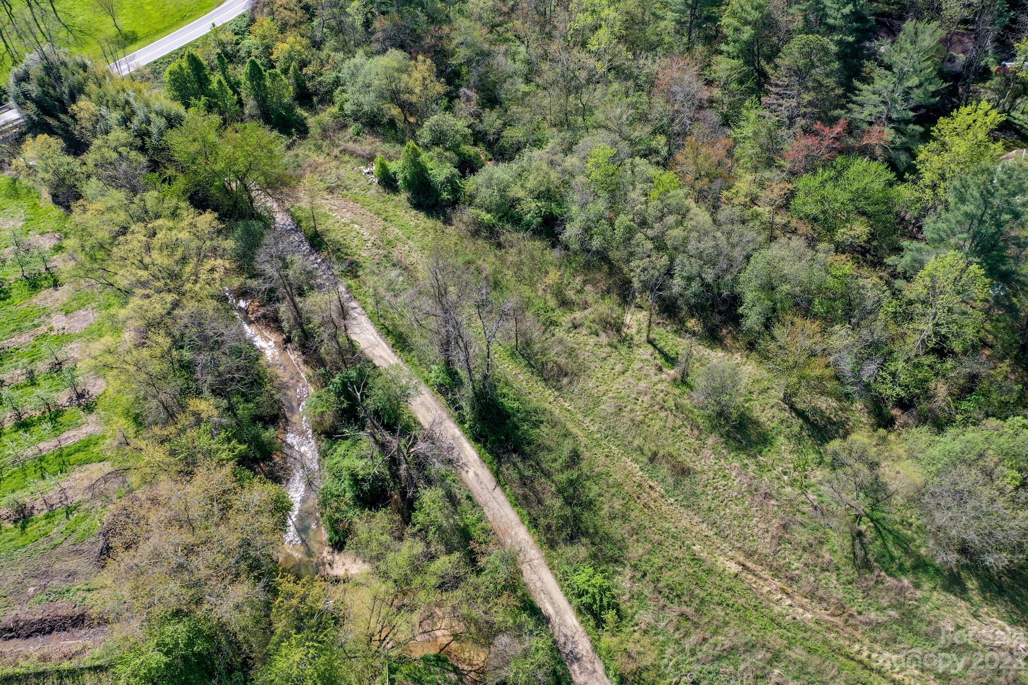 0 Pilot Mountain Road Hendersonville, NC 28792 - Photo 5 of 15 Gallery Image 5