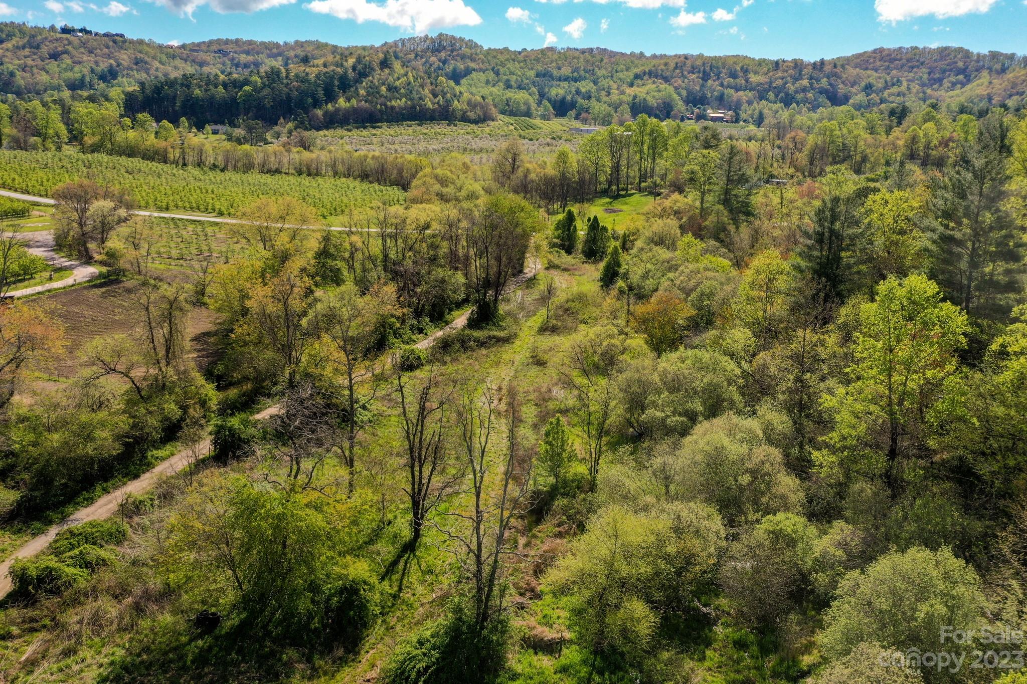 0 Pilot Mountain Road Hendersonville, NC 28792 - Photo 8 of 15 Gallery Image 8