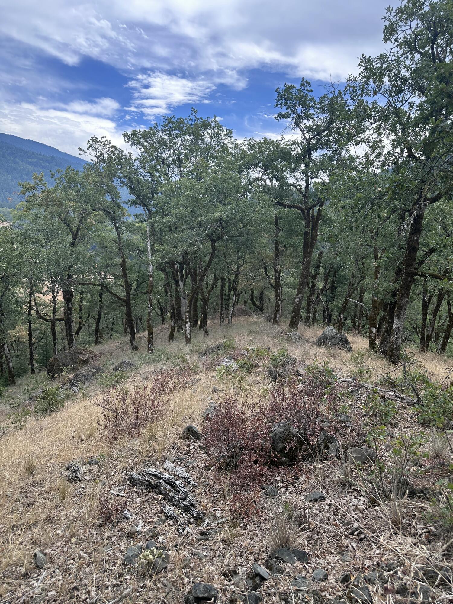 0 River Road Miranda, CA 95553 - Photo 25 of 31