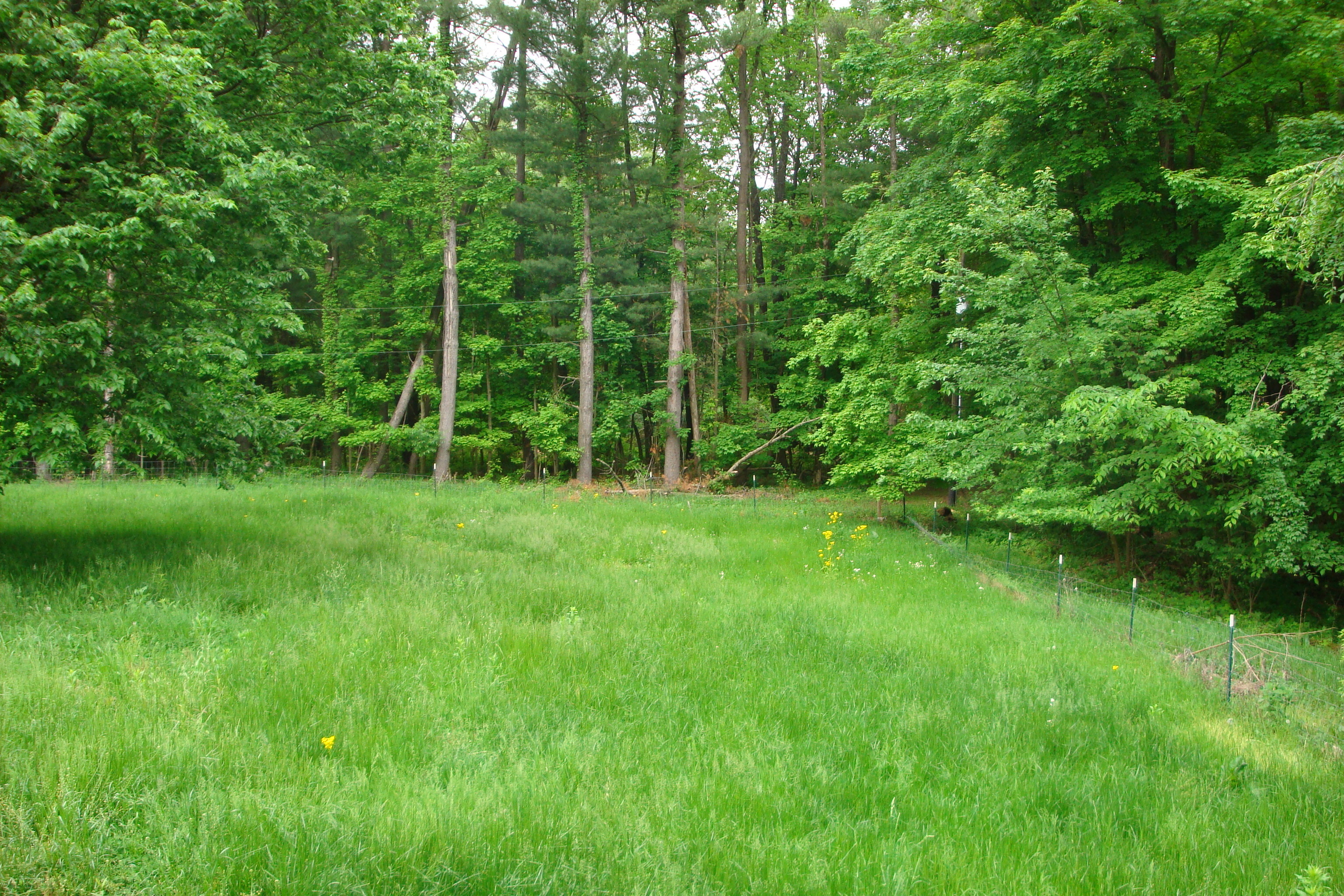 2947 West Lentz Tree Farm Road Monrovia, IN 46157 - Photo 19 of 20 Gallery Image 19