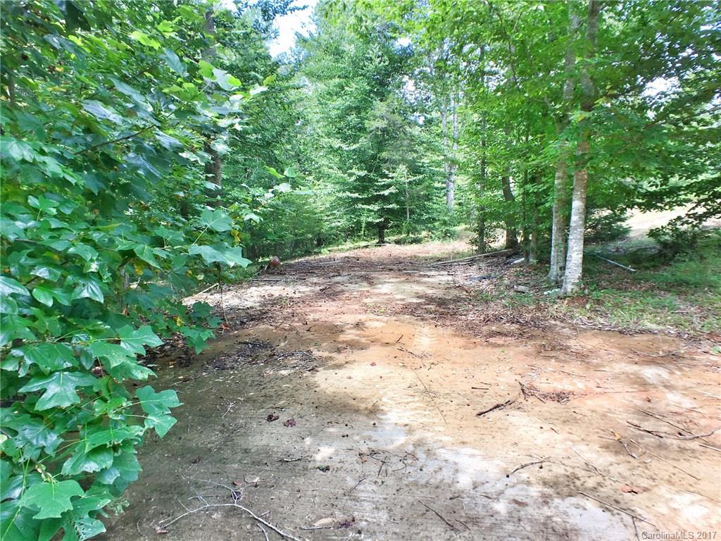 416 Cinnamon Ridge Rutherfordton, NC 28139 - Photo 2 of 5