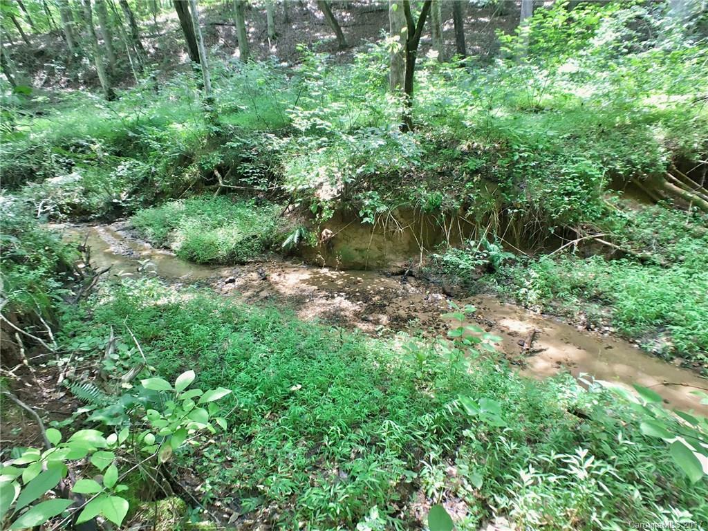 416 Cinnamon Ridge Rutherfordton, NC 28139 - Photo 3 of 5