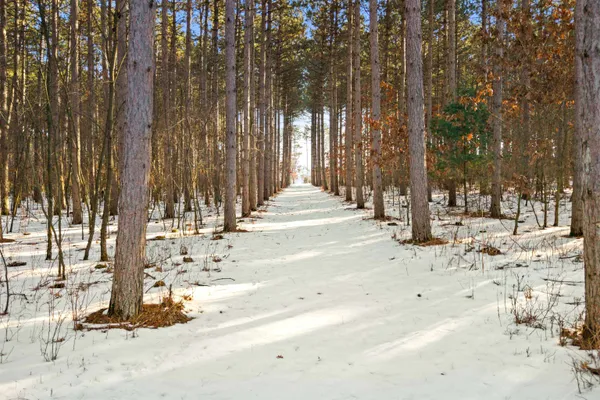 $205,000 | N14538 Long View Lane, Nekoosa, WI 54457