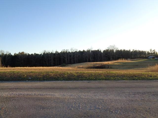 3431 Cromwell Ridge Road Cypress Inn, TN 38452 - Photo 28 of 30 View of Road