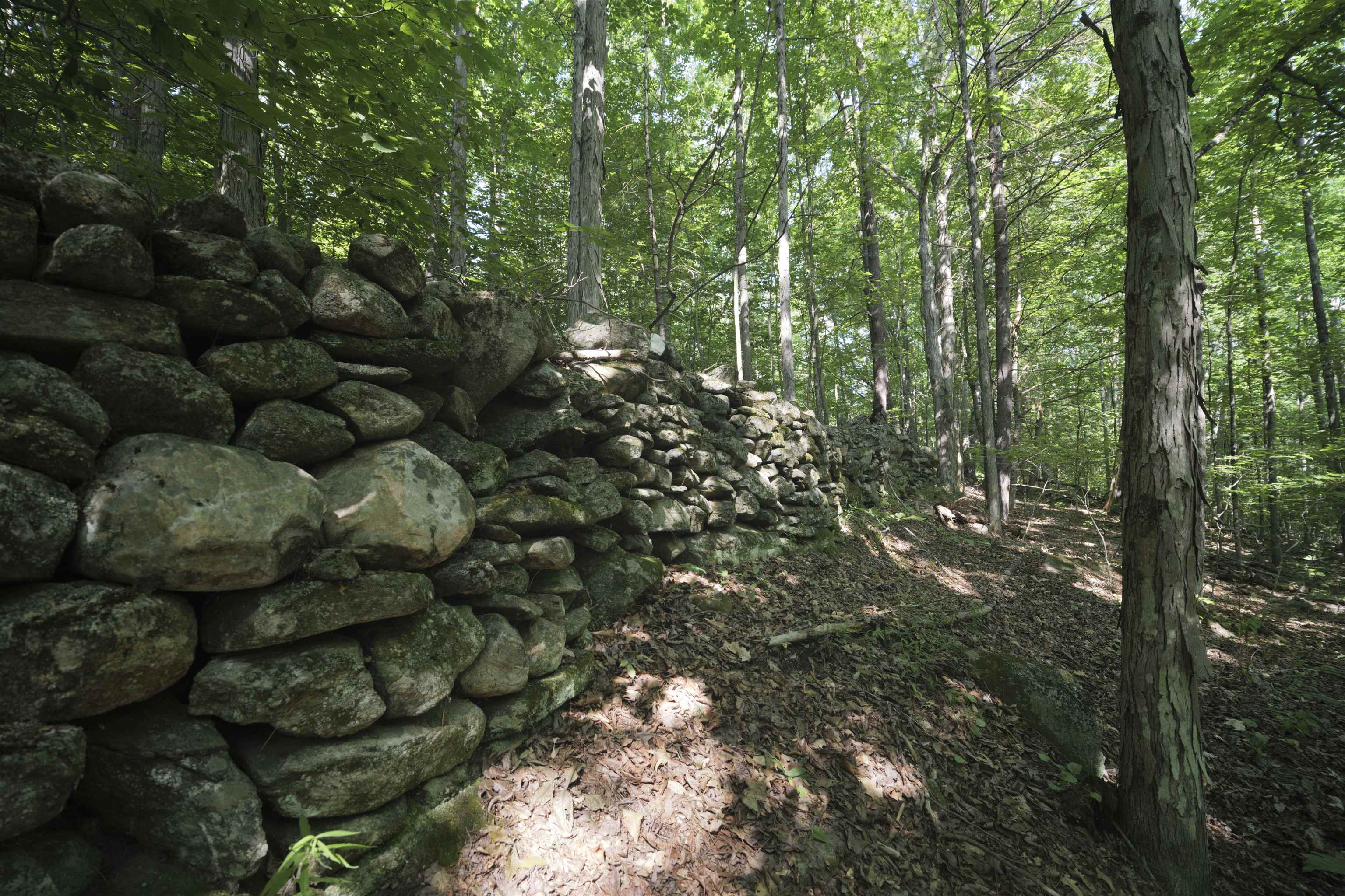 0 Howe Farm Road Jamaica, VT 05343 - Photo 20 of 25