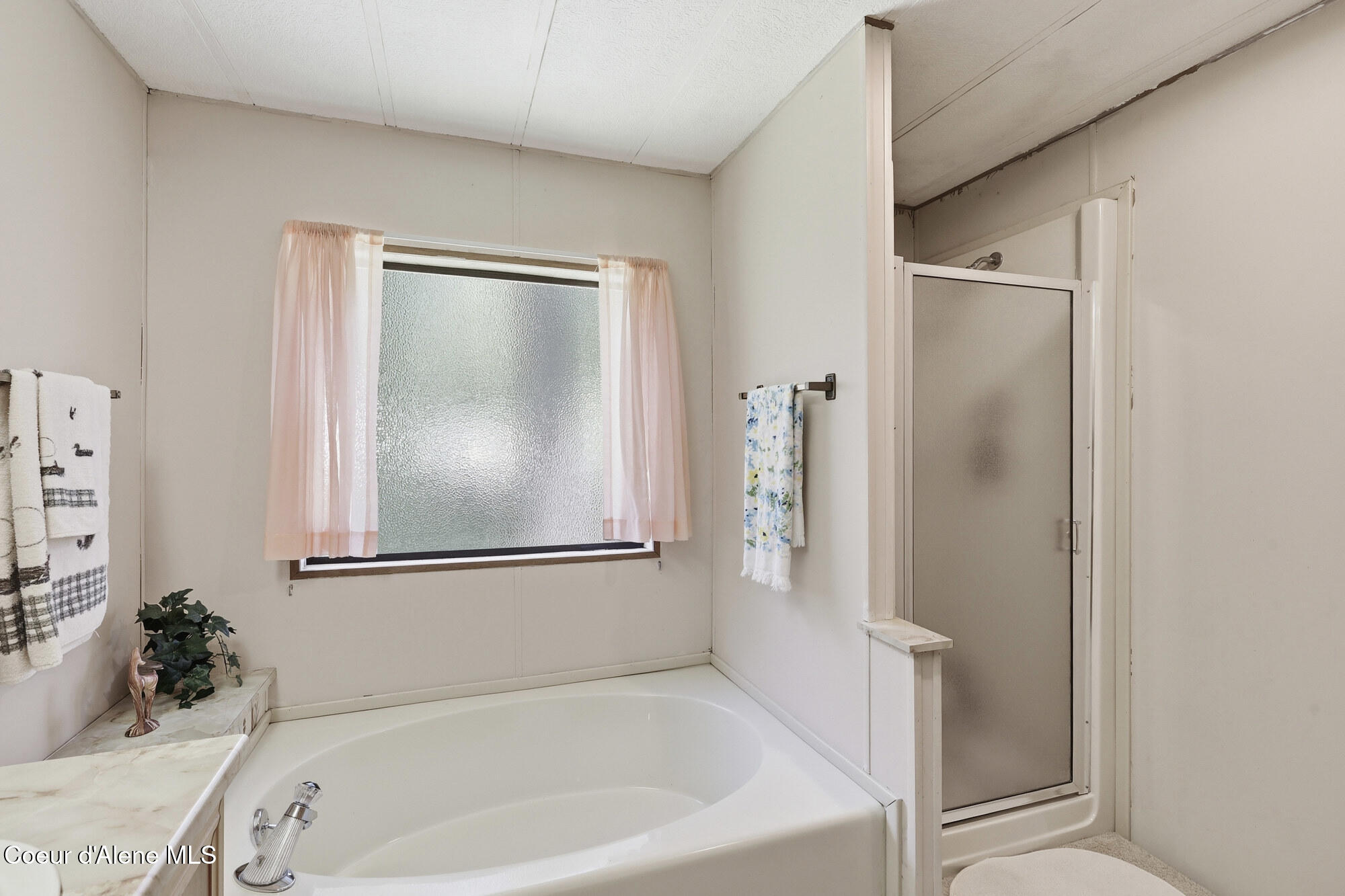 13118 Hellroaring Road Athol, ID 83801 - Photo 19 of 46 Soaking tub & Shower