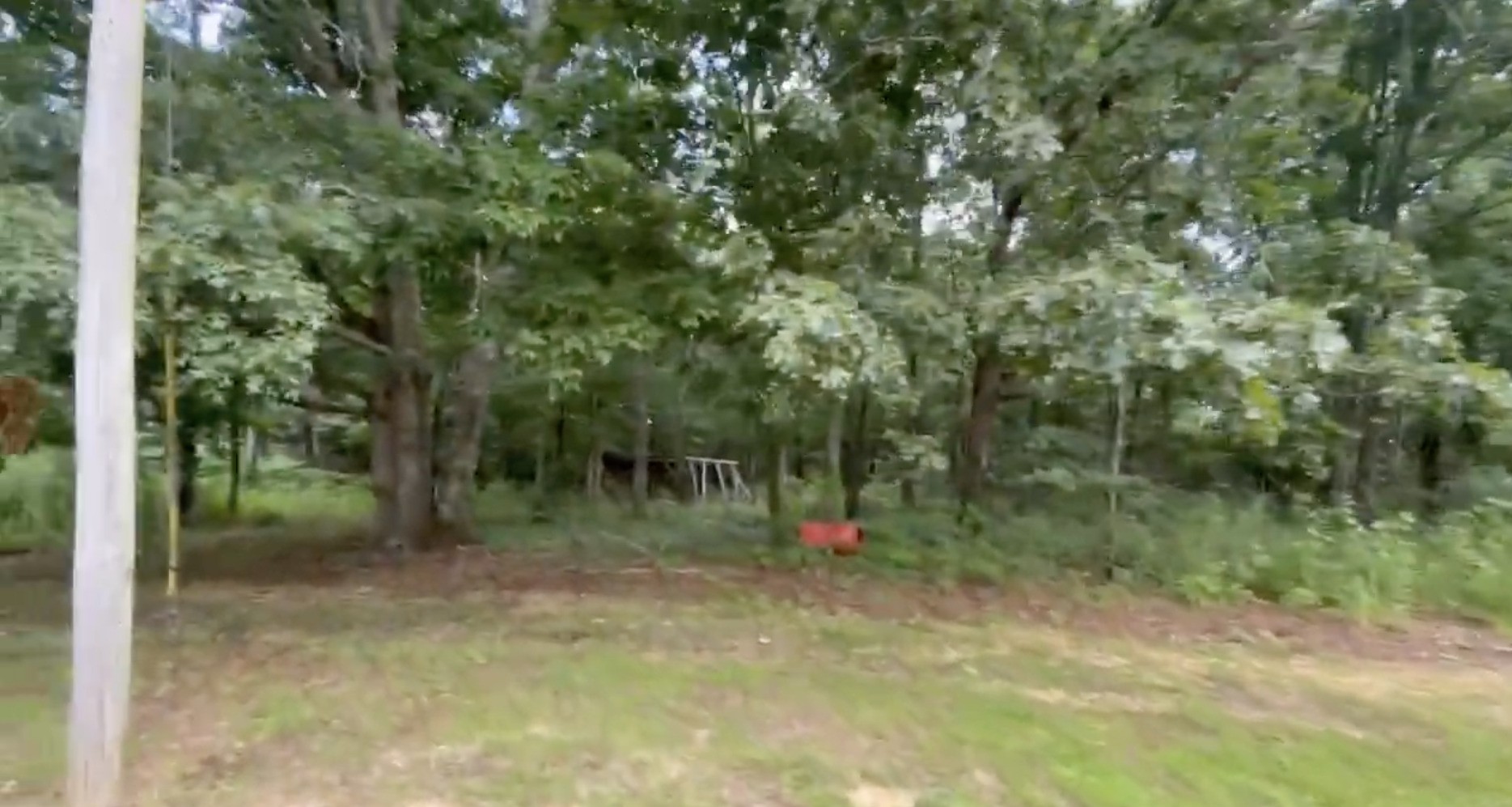 6101 Craig Road Cypress Inn, TN 38452 - Photo 38 of 38