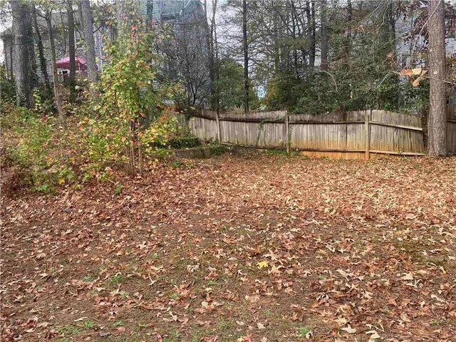 a view of backyard with tree