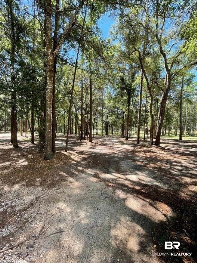 1331 Ridgewood Drive Lillian, AL 36549 - Photo 32 of 36