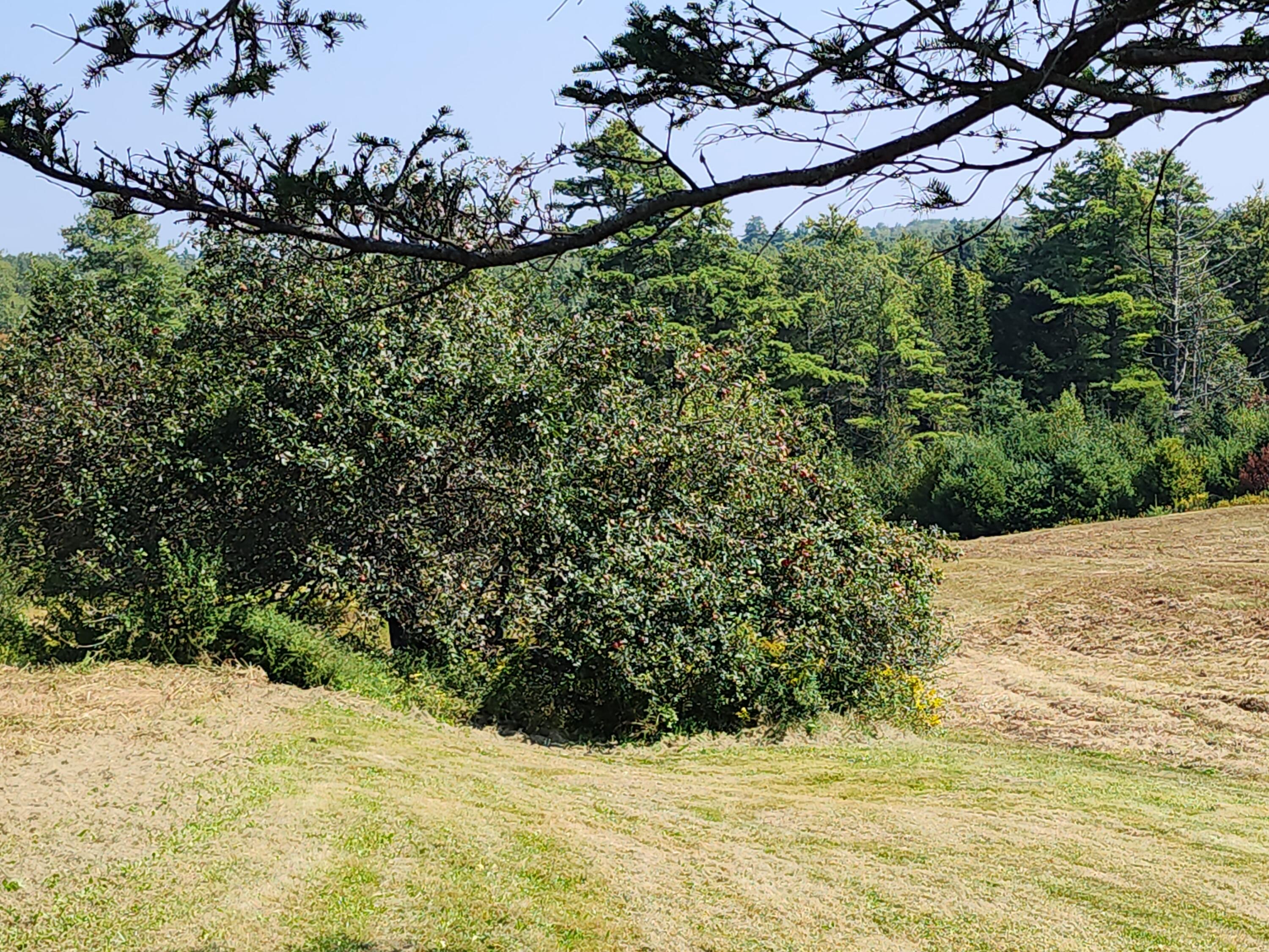 467 Bangor Road Stockton Springs, ME 04981 - Photo 24 of 26 20230905_121906