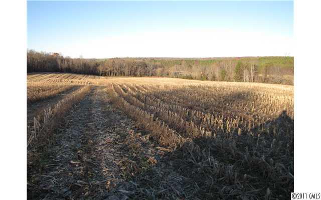 Off Houstonville Road West Harmony, NC 28634 - Photo 7 of 12 a view of a dry yard