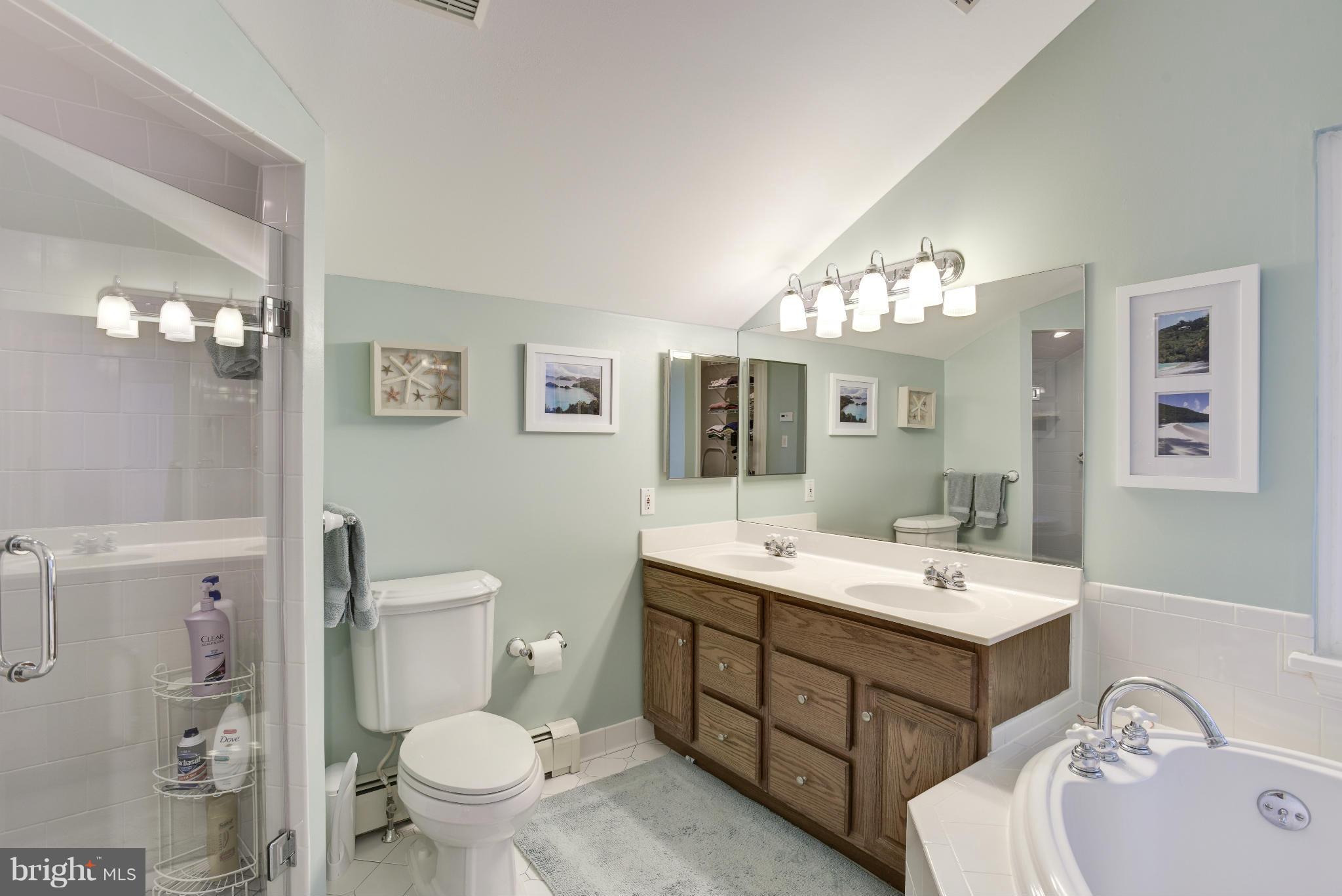 609 Chumleigh Road Baltimore, MD 21212 - Photo 21 of 30 a spacious bathroom with a double vanity sink mirror and toilet