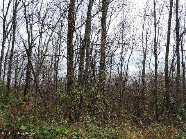 3098 Sulphur Road Sulphur, KY 40070 - Photo 4 of 48 3098 Sulphur Road 072