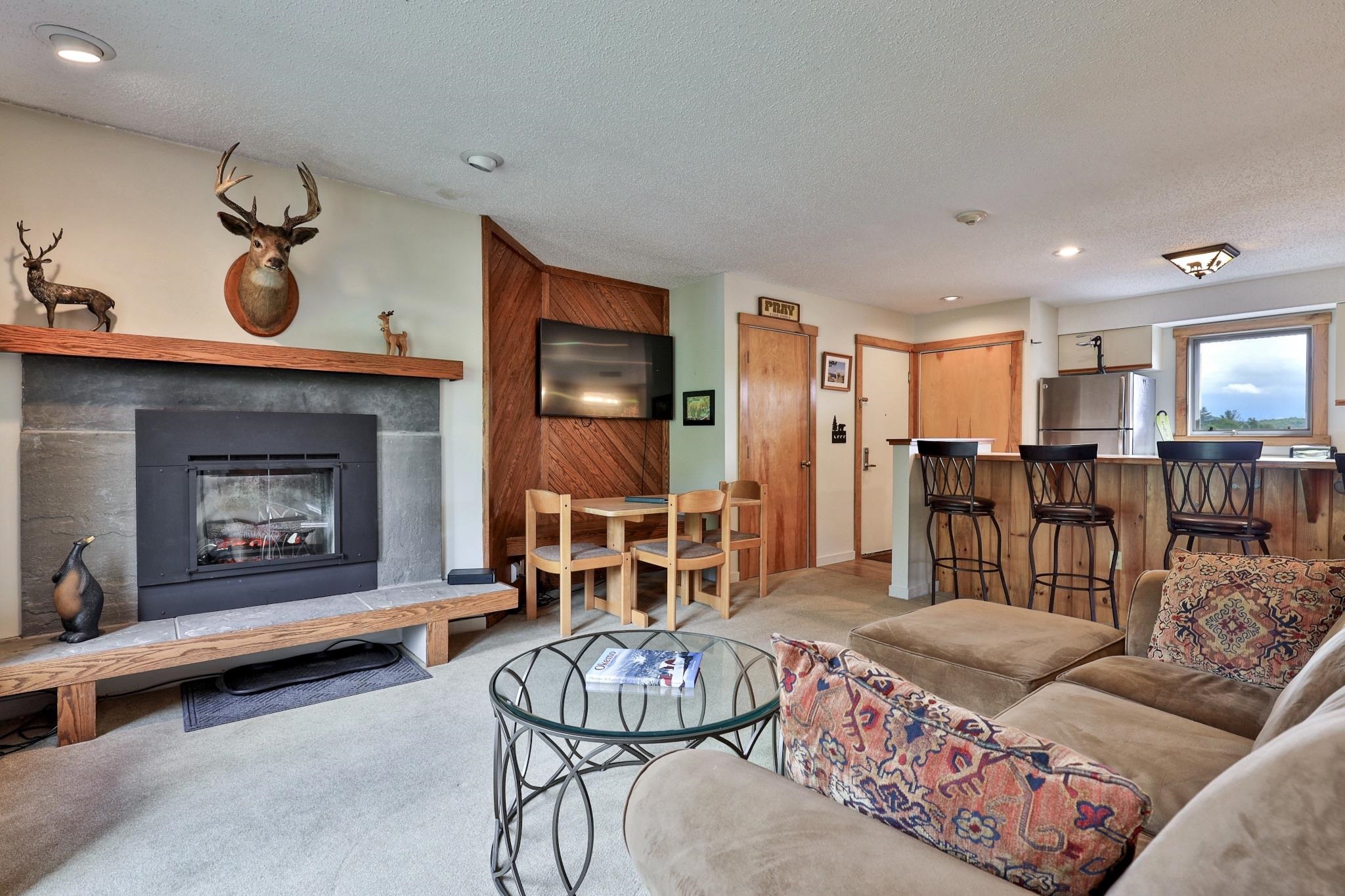 109 Okemo Ridge Road, Unit C301 Ludlow, VT 05149 - Photo 10 of 30 Gallery Image 10