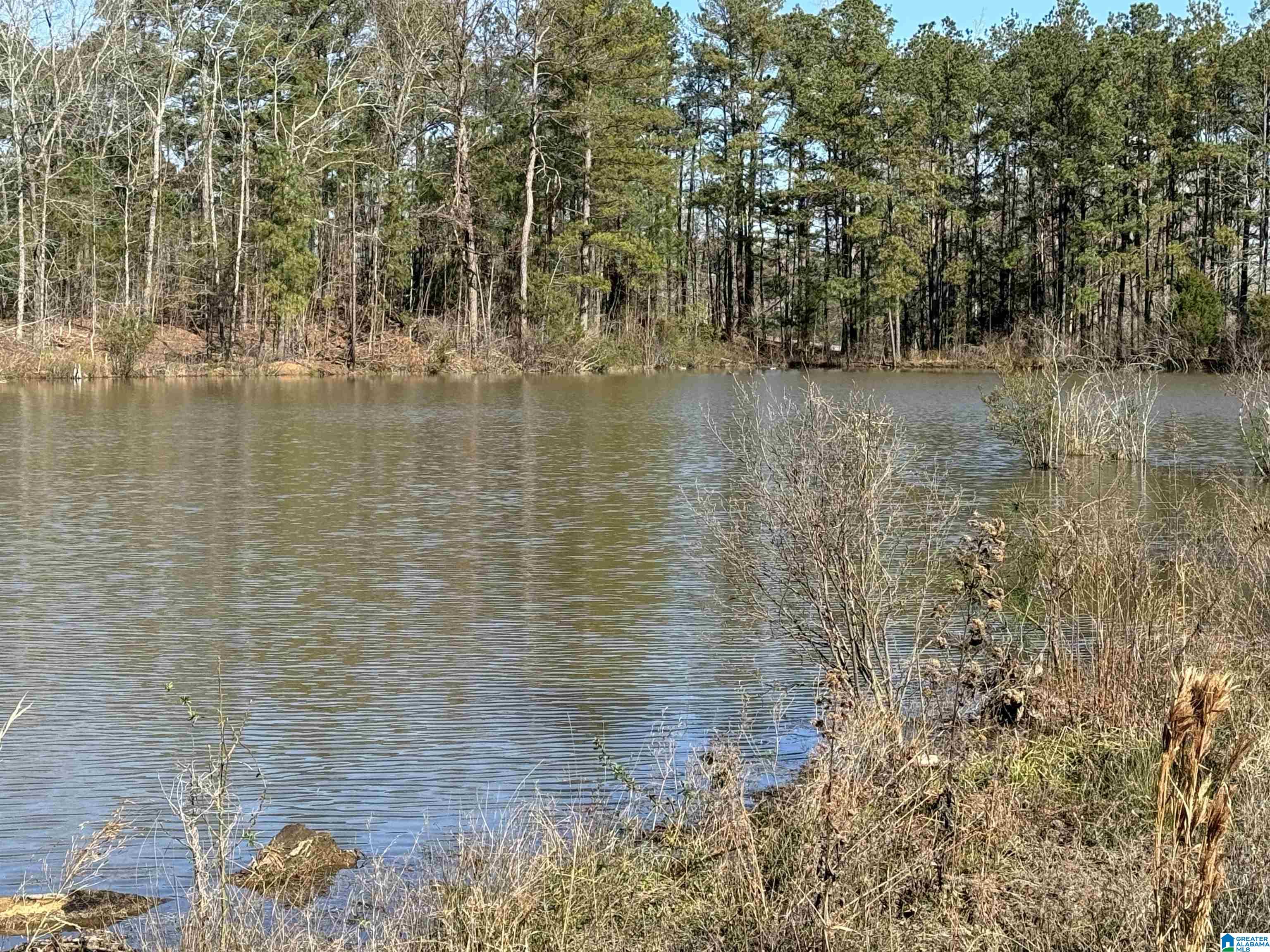 1080 County Road 46, Unit 1 Montevallo, AL 35115 - Photo 5 of 13