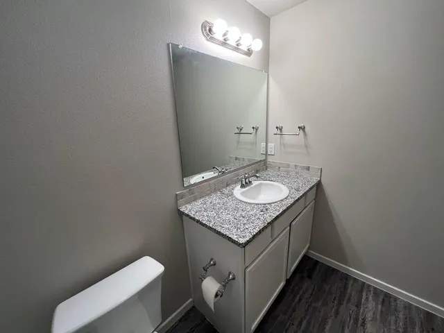 a bathroom with a sink toilet and vanity