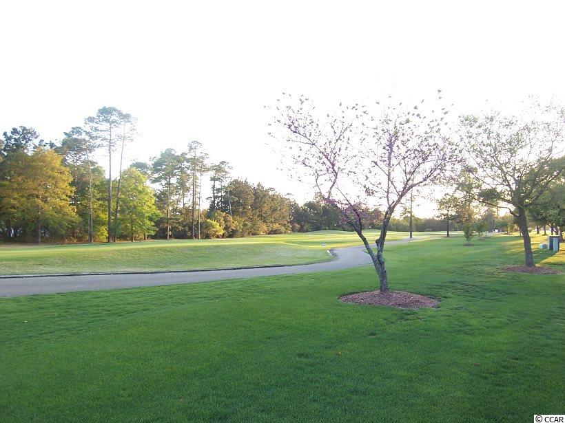490 Hyacinth Loop Murrells Inlet, SC 29576 - Photo 29 of 32 Gallery Image 29