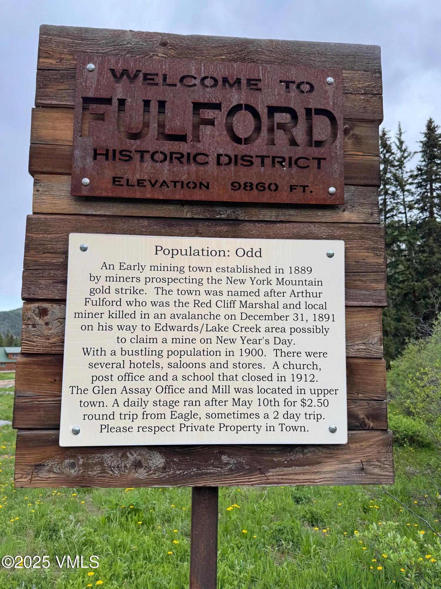 1234 6th Street Eagle, CO 81631 - Photo 10 of 51 IMG_4619