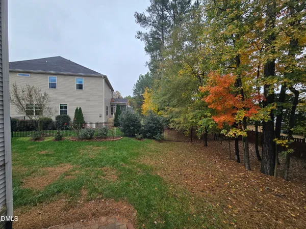 a view of a backyard with plants and large trees