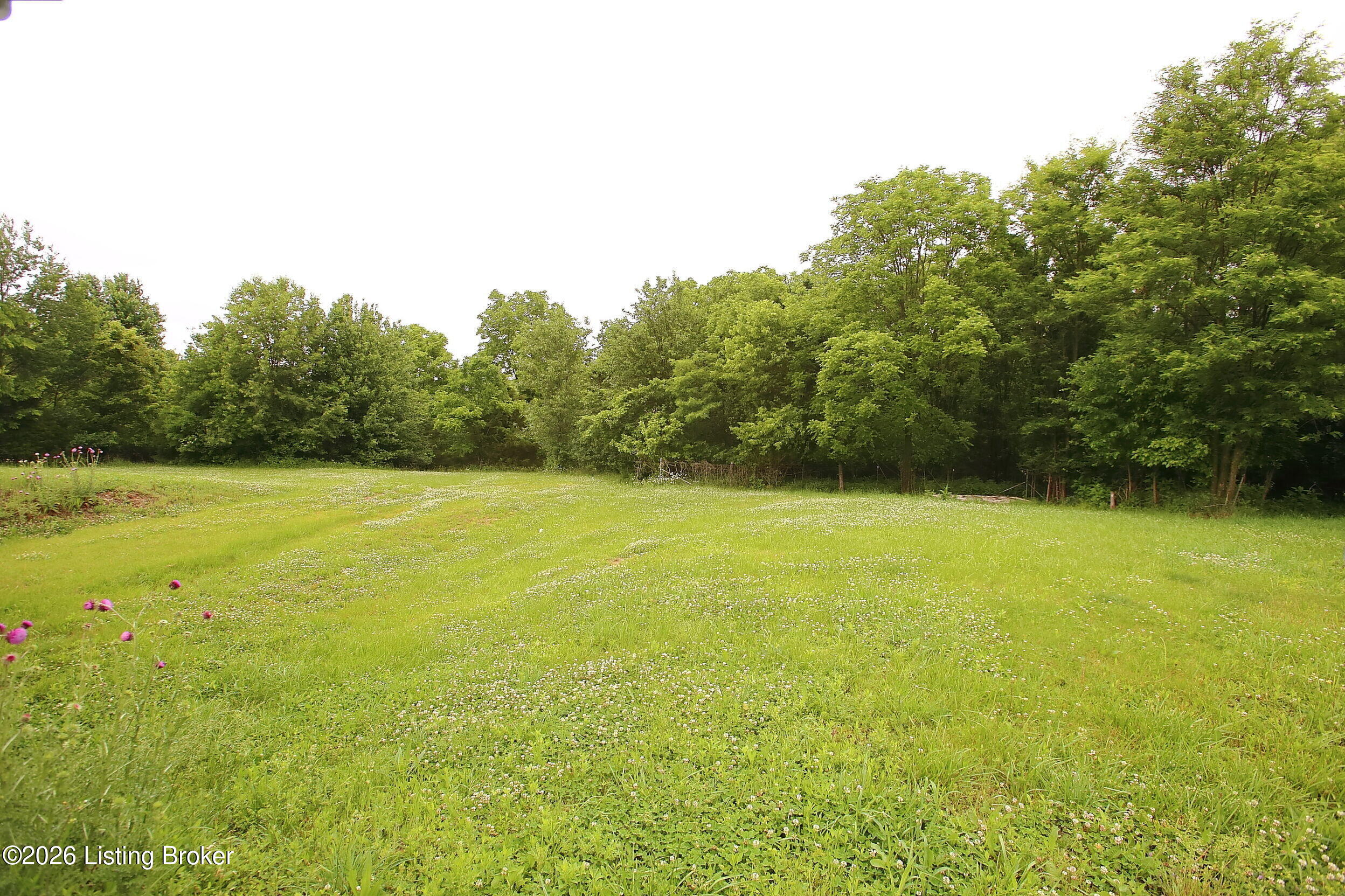 41 Travis Road Taylorsville, KY 40071 - Photo 40 of 44 Backyard