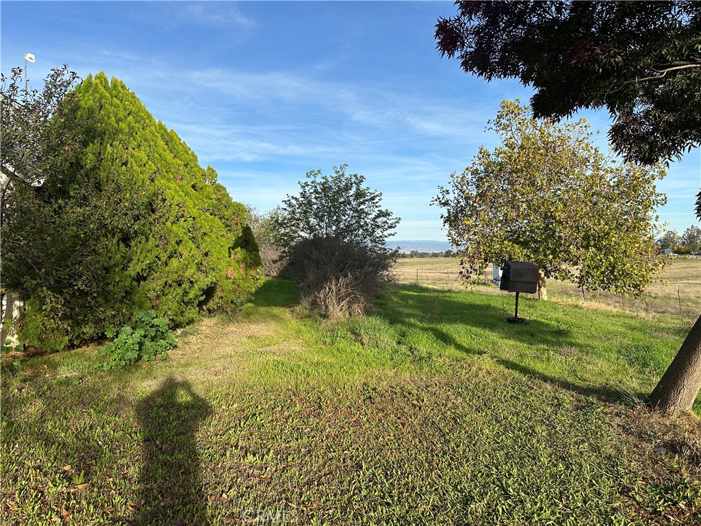 2920 Hall Corning, CA 96021 - Photo 19 of 53