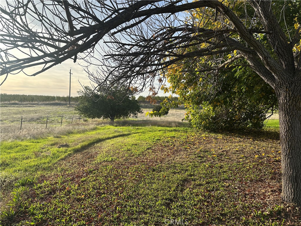 2920 Hall Corning, CA 96021 - Photo 30 of 53