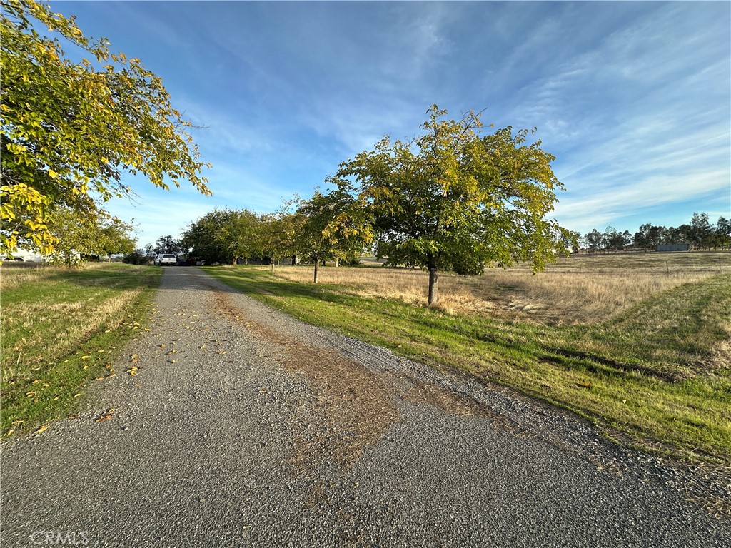 2920 Hall Corning, CA 96021 - Photo 33 of 53