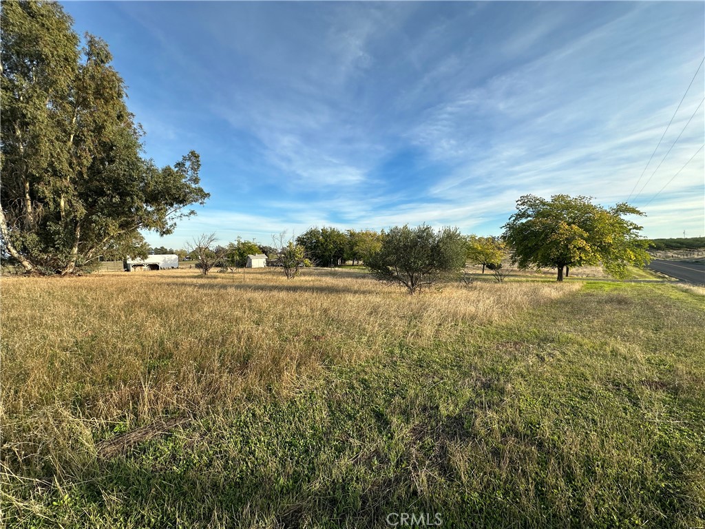 2920 Hall Corning, CA 96021 - Photo 35 of 53