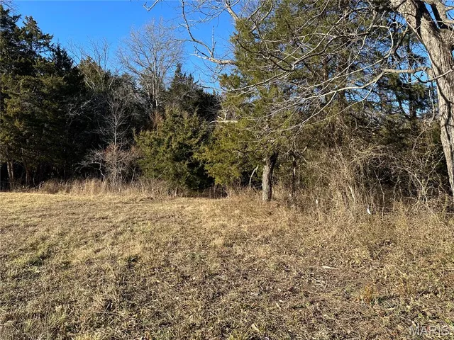 $172,044 | 0 Fox Lane, Owensville, MO 65066