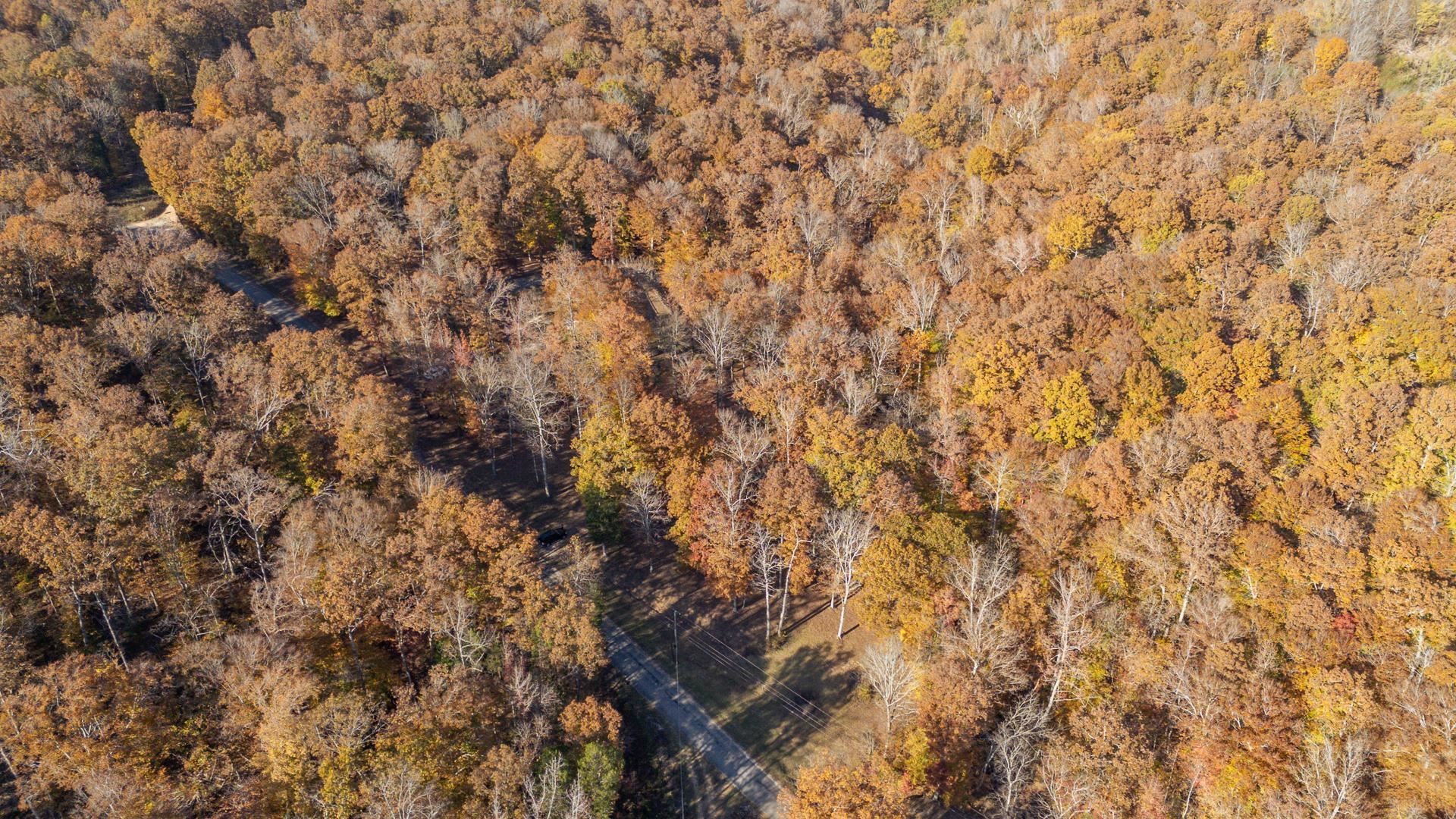 2411 Keazey Hollow Road Waynesboro, TN 38485 - Photo 29 of 38