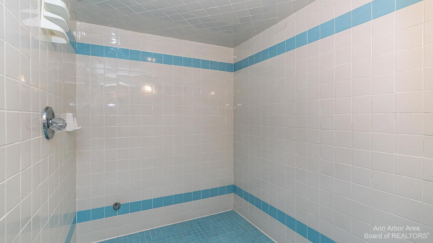 5708 Textile Road Ann Arbor, MI 48103 - Photo 78 of 98 Photo 79