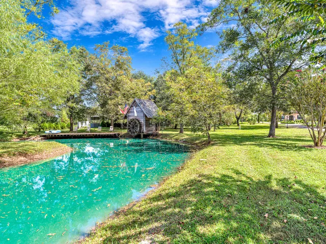a view of a garden with a flower