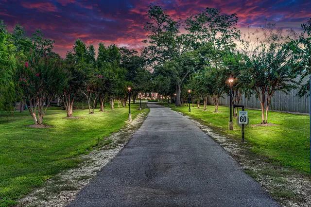 a view of a park with tree s