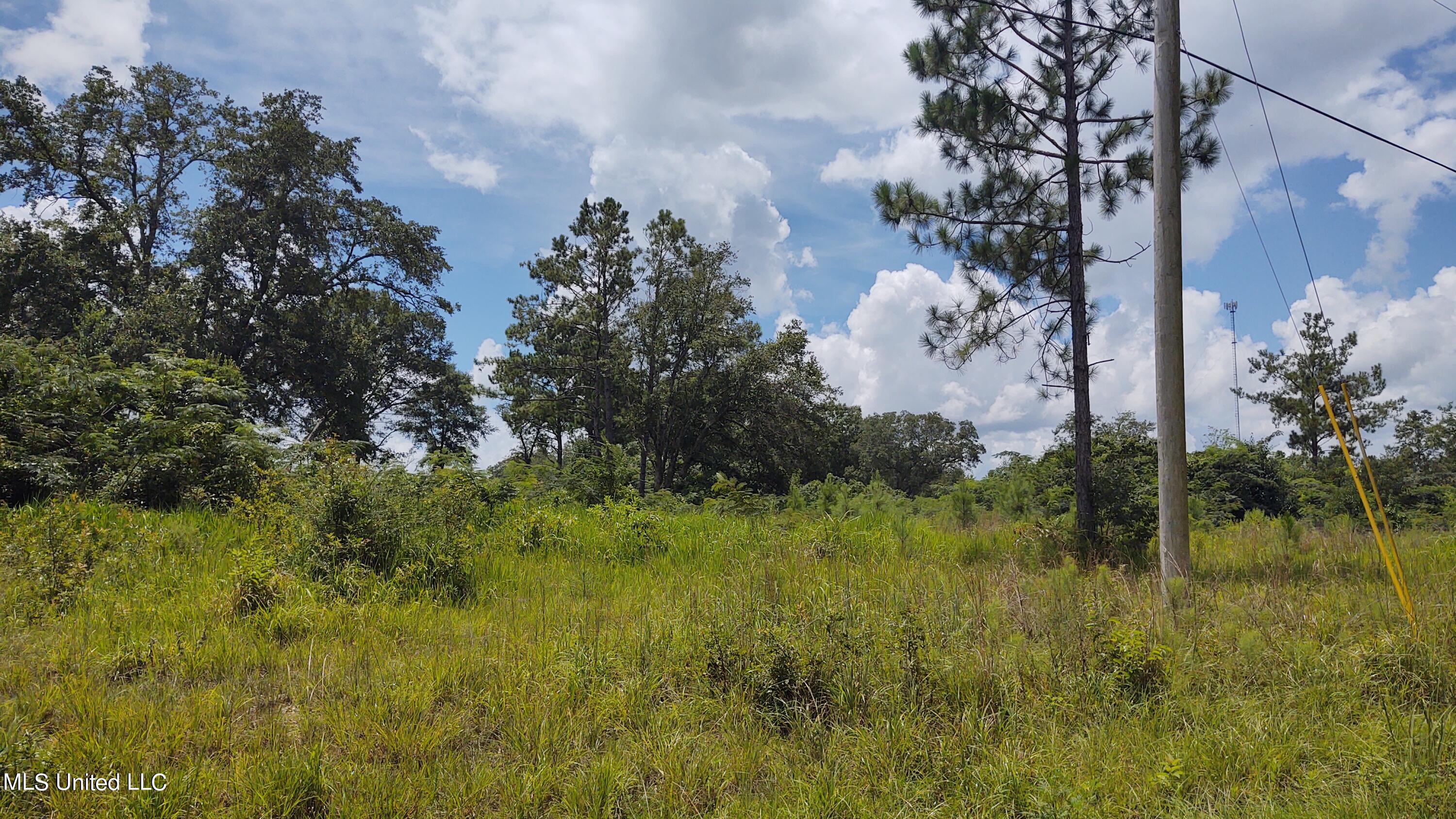 0 Luke Jones Road Poplarville, MS 39470 - Photo 1 of 6 Luke Jones Rd - Lot 1