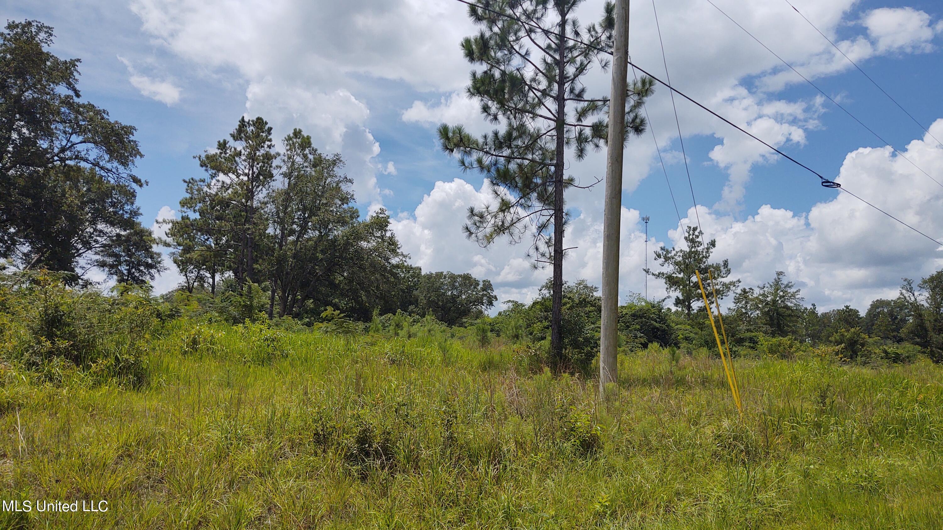 0 Luke Jones Road Poplarville, MS 39470 - Photo 2 of 6 IMG_20220805_124805817