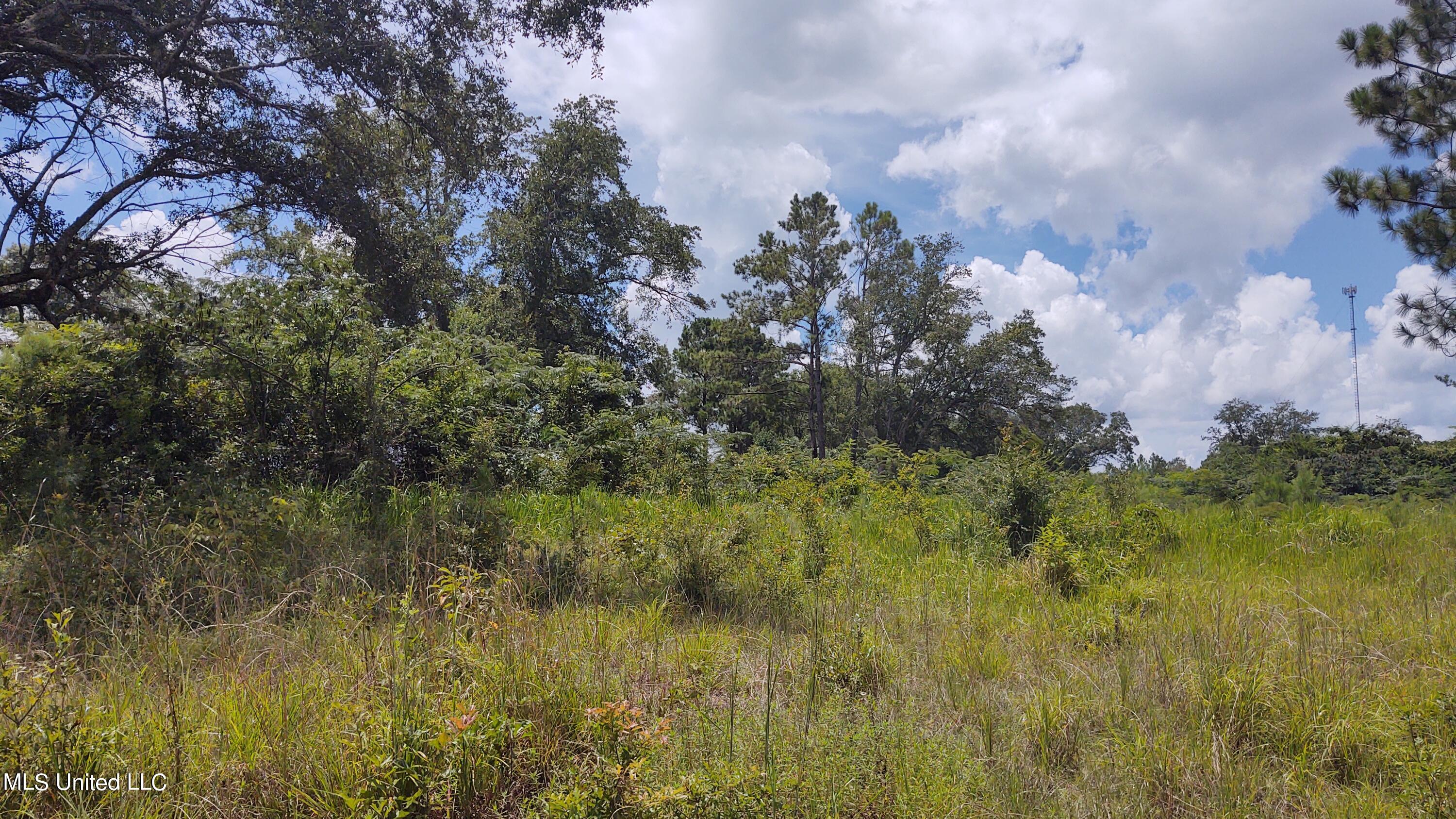 0 Luke Jones Road Poplarville, MS 39470 - Photo 3 of 6 IMG_20220805_124748799